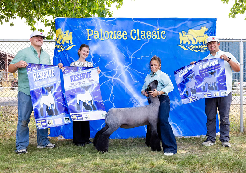 Reserve Supreme Breeding Ewe, Reserve Supreme Market Lamb, Champion Senior Showman, Palouse Classic Reserve Supreme Breeding Ewe, Reserve Supreme Market Lamb, Champion Senior Showman, Palouse Classic