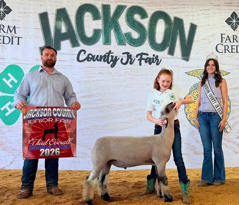 3rd Overall Market Lamb, Jackson County Junior Fair 3rd Overall Market Lamb, Jackson County Junior Fair