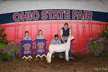Grand Champion Southdown Ewe, THE Ohio State Fair – Open Show Grand Champion Southdown Ewe, THE Ohio State Fair – Open Show
