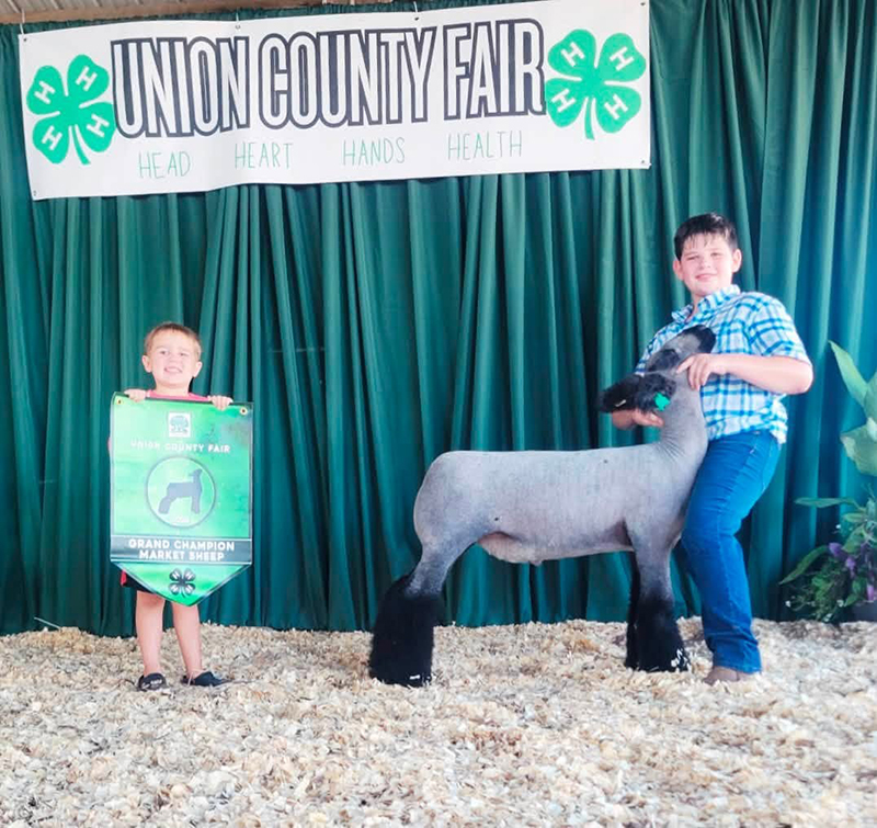 Grand Champion Market Lamb, Union County Fair Grand Champion Market Lamb, Union County Fair