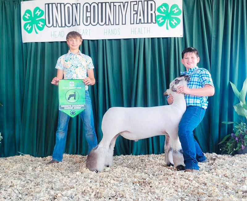 Reserve Grand Champion Market Lamb, Union County Fair Reserve Grand Champion Market Lamb, Union County Fair