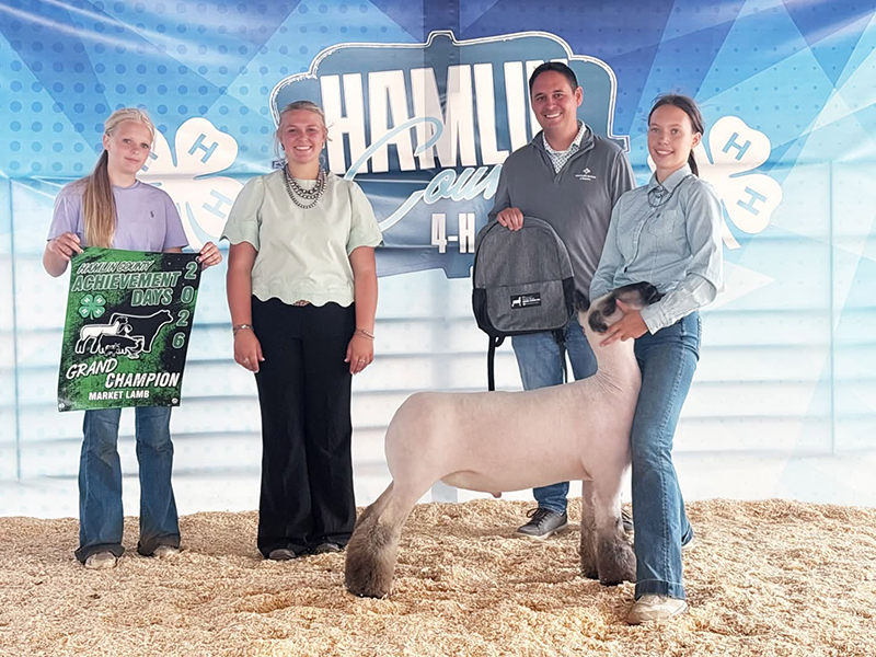 Grand Champion Market Lamb, Hamlin County Fair Grand Champion Market Lamb, Hamlin County Fair