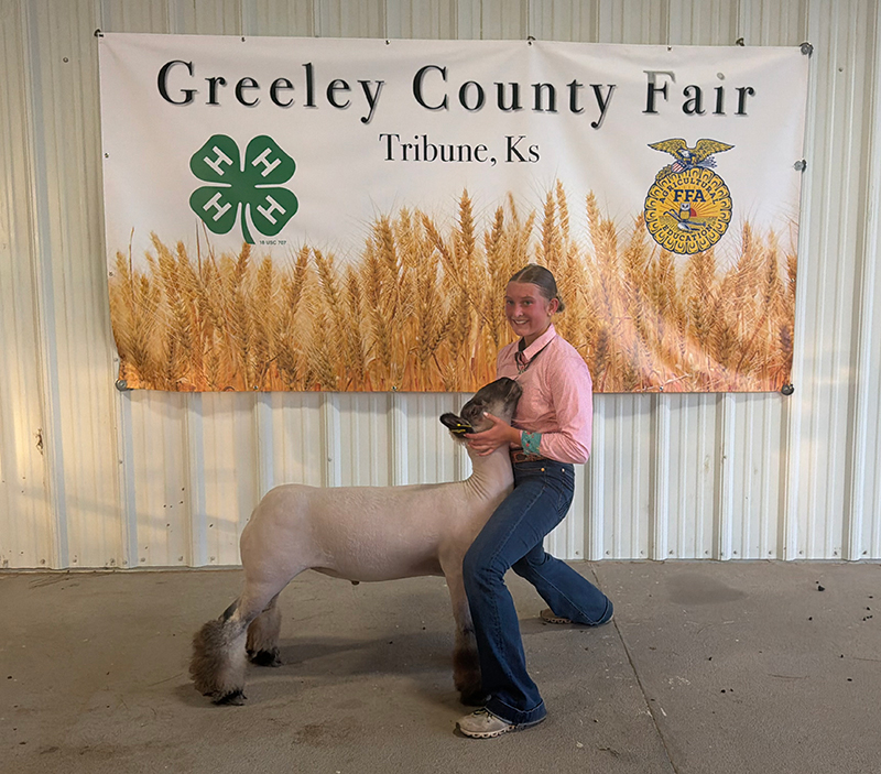 3rd Overall Market Lamb, Greeley County Fair 3rd Overall Market Lamb, Greeley County Fair