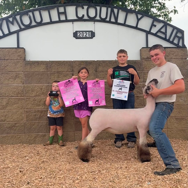 Reserve Champion Breeding Ewe, Plymouth County Fair Reserve Champion Breeding Ewe, Plymouth County Fair