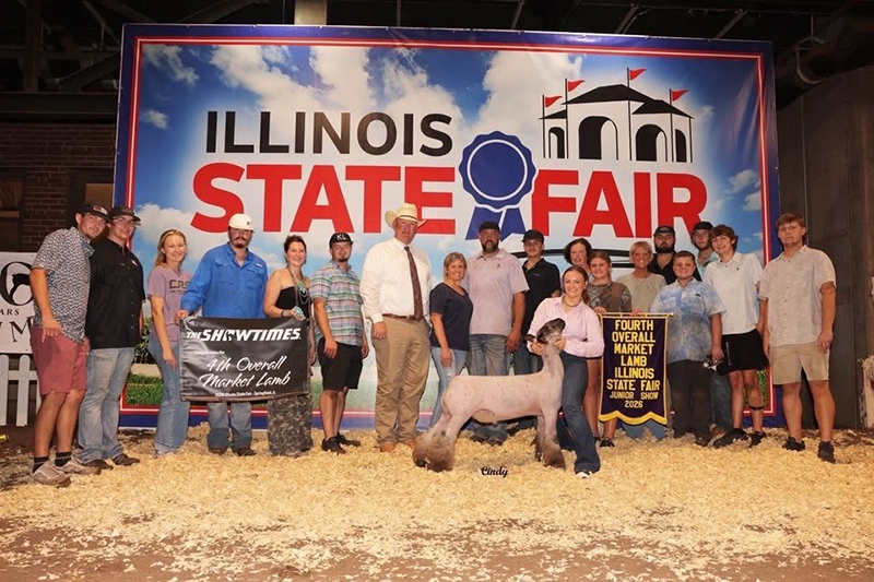 4th Overall Market Lamb, Illinois State Fair 4th Overall Market Lamb, Illinois State Fair
