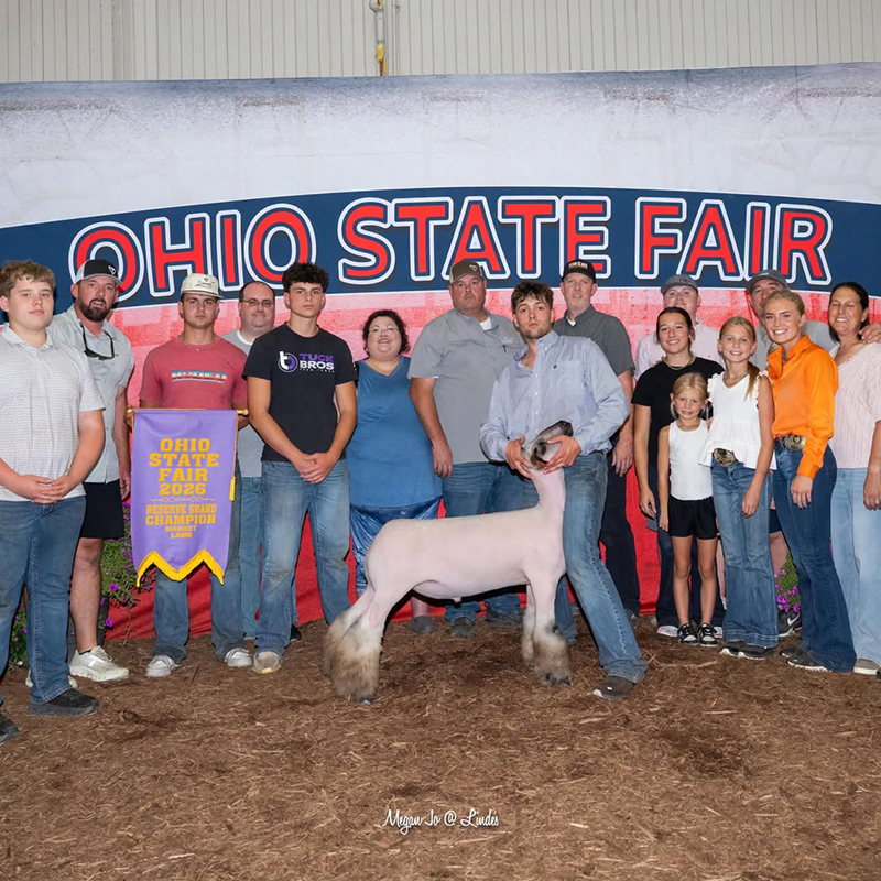 Reserve Grand Champion Market Lamb, THE Ohio State Fair – Open Show Reserve Grand Champion Market Lamb, THE Ohio State Fair – Open Show