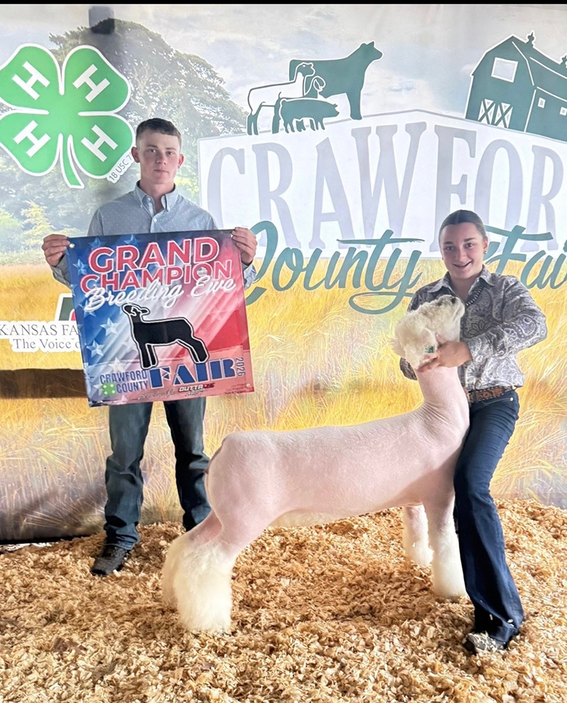 Grand Champion Breeding Ewe, Crawford County Fair Grand Champion Breeding Ewe, Crawford County Fair