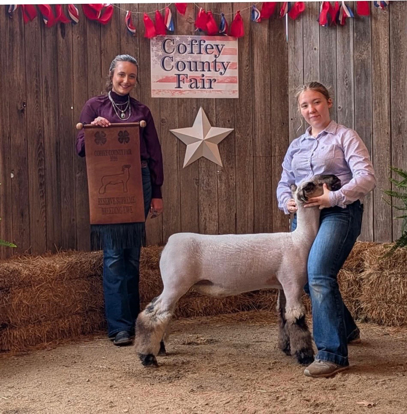 Reserve Supreme Breeding Ewe, Coffey County Fair Reserve Supreme Breeding Ewe, Coffey County Fair