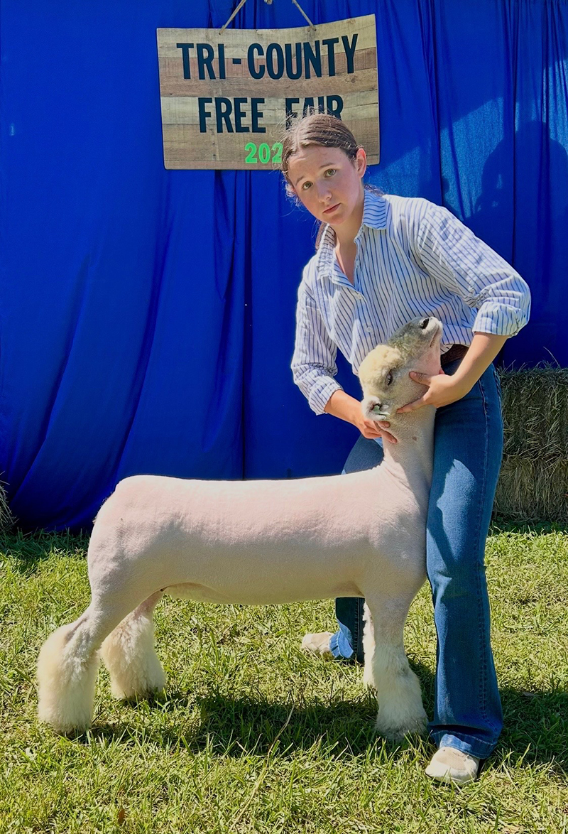 Reserve Supreme Ewe, Tri County Free Fair Reserve Supreme Ewe, Tri County Free Fair