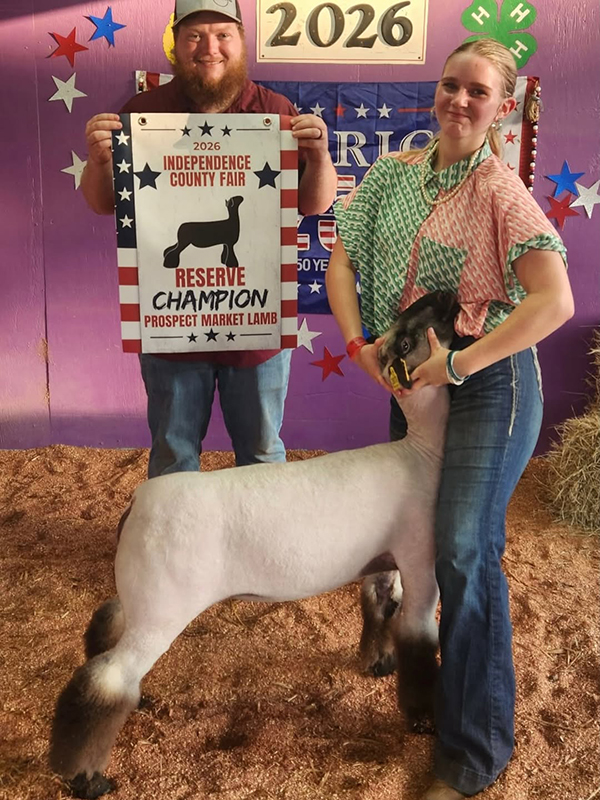Reserve Champion Market Lamb, Independence County Fair Reserve Champion Market Lamb, Independence County Fair