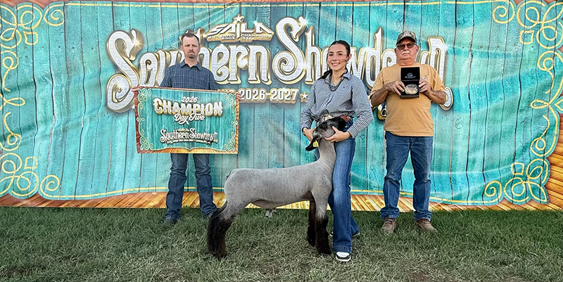 Champion Market Lamb – Day 2, Southern Showdown Champion Market Lamb – Day 2, Southern Showdown<br />