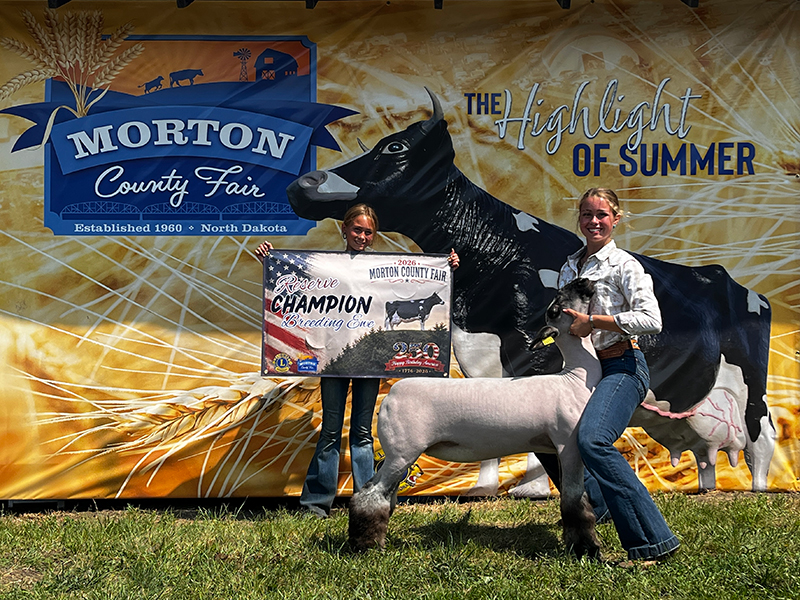 Reserve Champion Breeding Ewe, Morton County Fair Reserve Champion Breeding Ewe, Morton County Fair