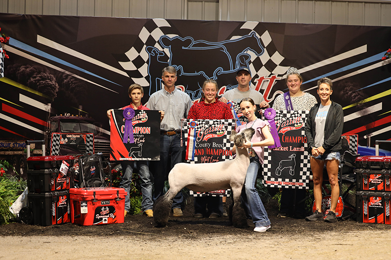 Grand Champion Market Lamb County Bred, Champion Market Grand Champion Market Lamb<br />
County Bred, Champion Market
