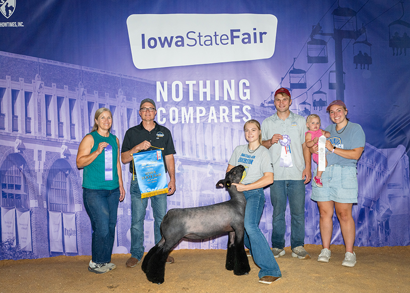 3rd Overall Commercial Ewe, Iowa State Fair FFA Show 3rd Overall Commercial Ewe, Iowa State Fair FFA Show