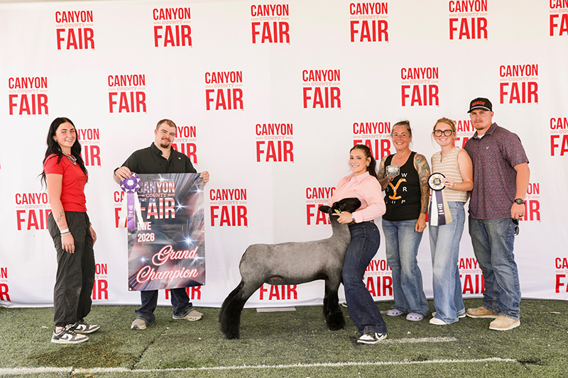Grand Champion Ewe, Canyon County Fair Grand Champion Ewe, Canyon County Fair