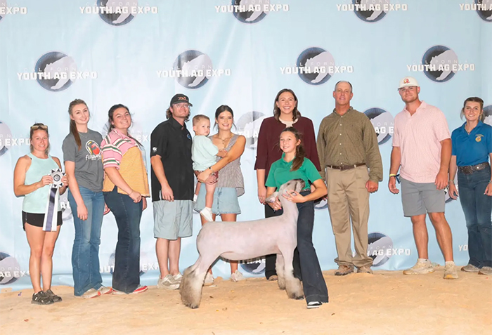 Reserve Champion Crossbred Ewe, California Youth Ag Expo Reserve Champion Crossbred Ewe, California Youth Ag Expo