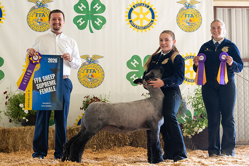 FFA Supreme Champion Ewe, Douglas County Fair FFA Supreme Champion Ewe, Douglas County Fair