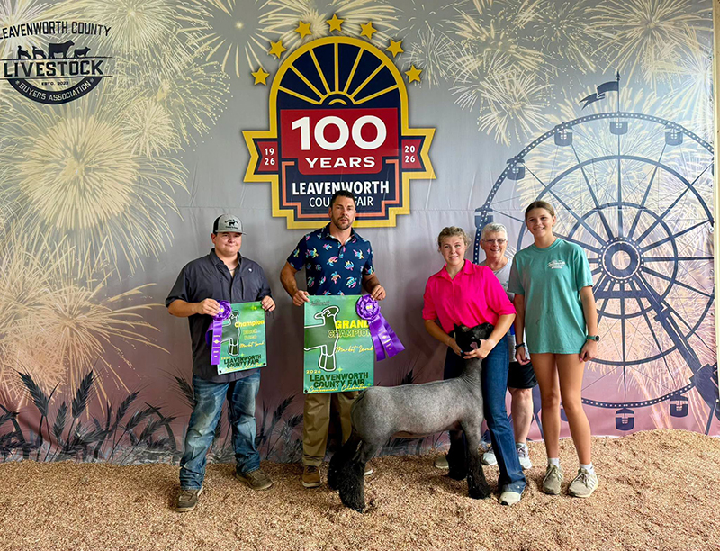 Champion Market Lamb, Leavenworth County Fair Champion Market Lamb, Leavenworth County Fair