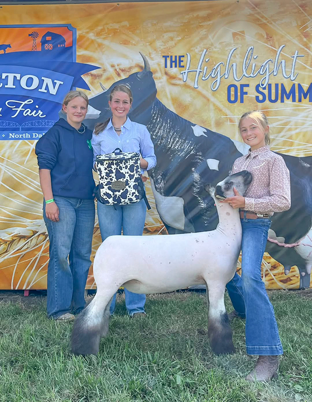 Reserve Grand Champion Breeding Ewe, Morton County Fair Open Show Reserve Grand Champion Breeding Ewe, Morton County Fair Open Show