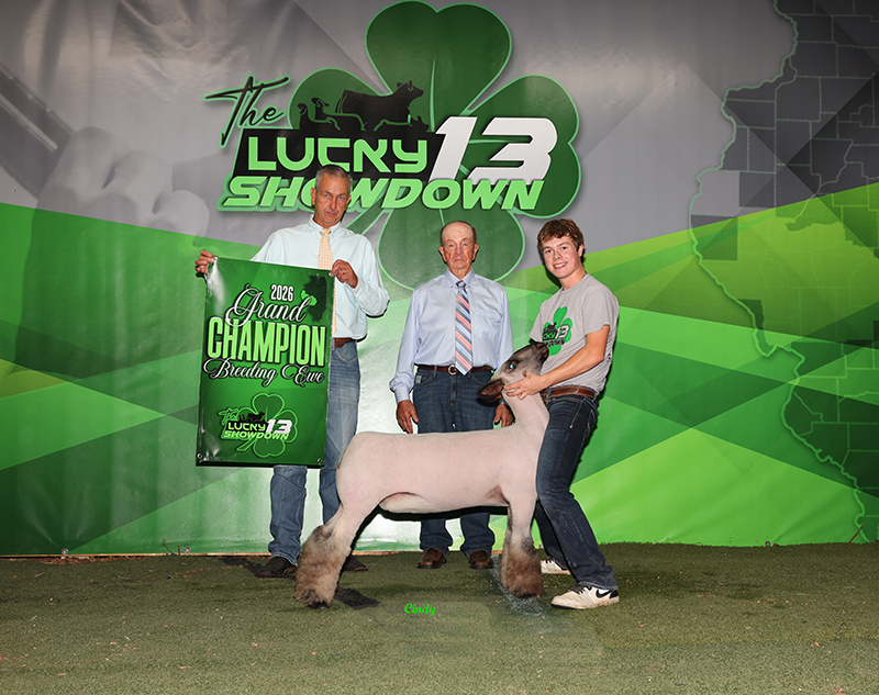 Grand Champion Breeding Ewe, Lucky 13 Showdown Grand Champion Breeding Ewe, Lucky 13 Showdown