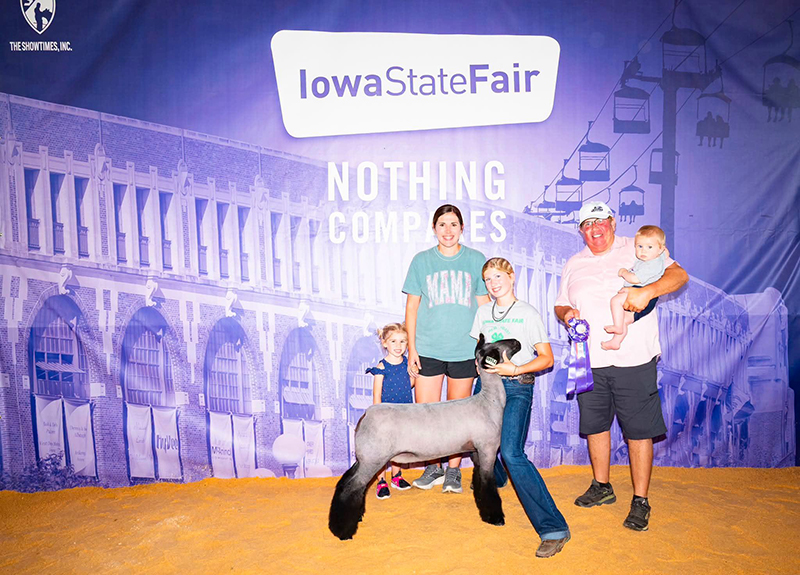 Champion 4-H Market Ewe, Iowa State Fair Champion 4-H Market Ewe, Iowa State Fair