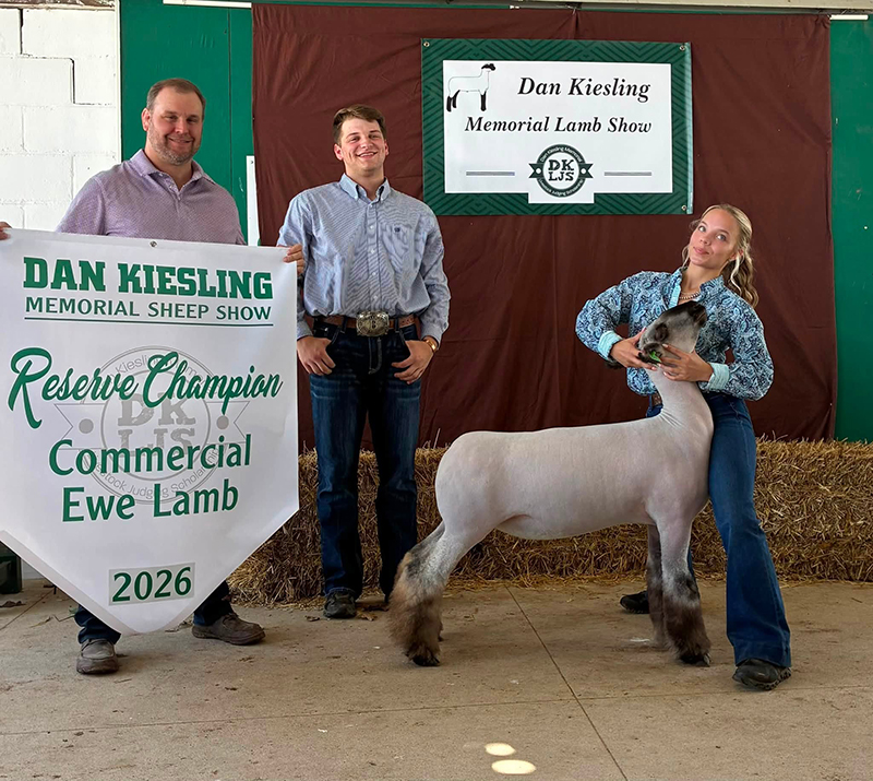 Reserve Champion Ewe, Dan Kiesling Memorial Reserve Champion Ewe, Dan Kiesling Memorial