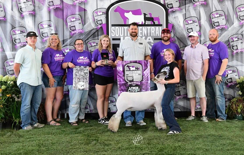 Supreme Champion Breeding Ewe, South Central Iowa Showdown Supreme Champion Breeding Ewe, South Central Iowa Showdown