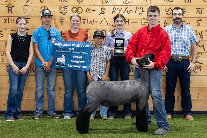 Grand Champion Breeding Ewe, Wabaunsee County Fair Grand Champion Breeding Ewe, Wabaunsee County Fair