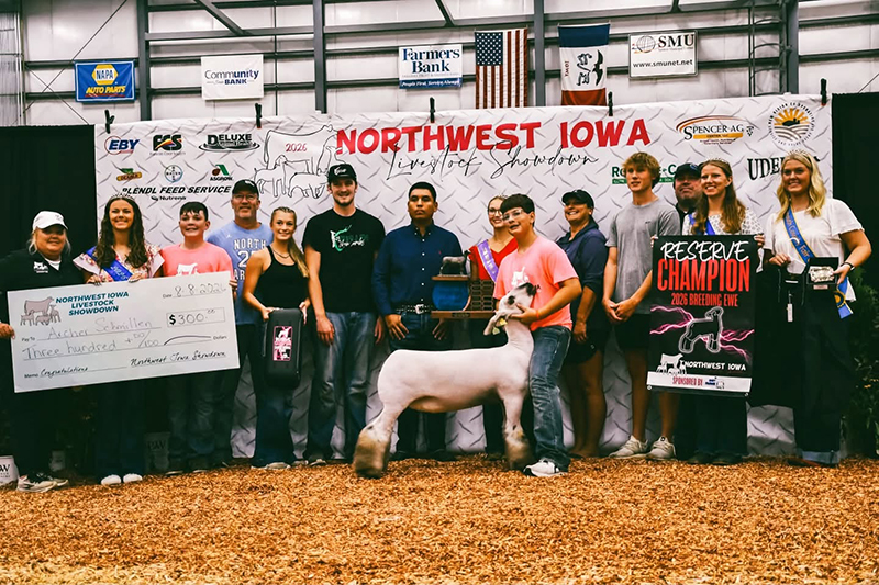 Reserve Champion Breeding Ewe, Northwest Iowa Showdown Reserve Champion Breeding Ewe, Northwest Iowa Showdown