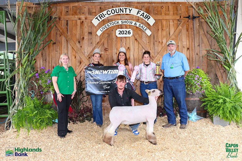 Reserve Supreme Champion Ewe, Tri County Fair Reserve Supreme Champion Ewe, Tri County Fair
