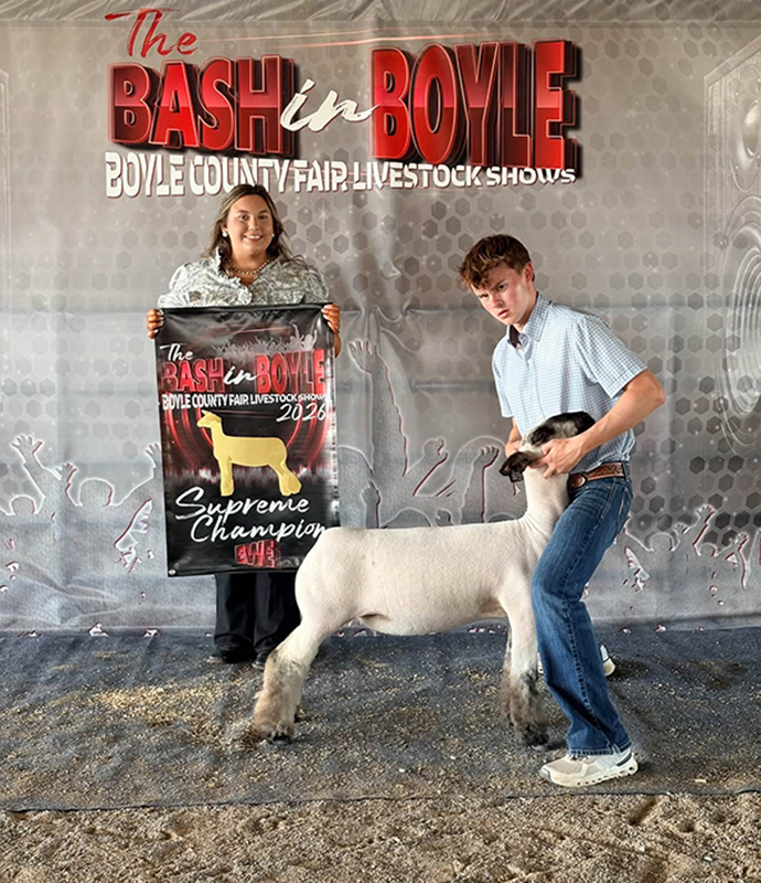 Grand Champion Breeding Ewe, The Bash in Boyle Grand Champion Breeding Ewe, The Bash in Boyle