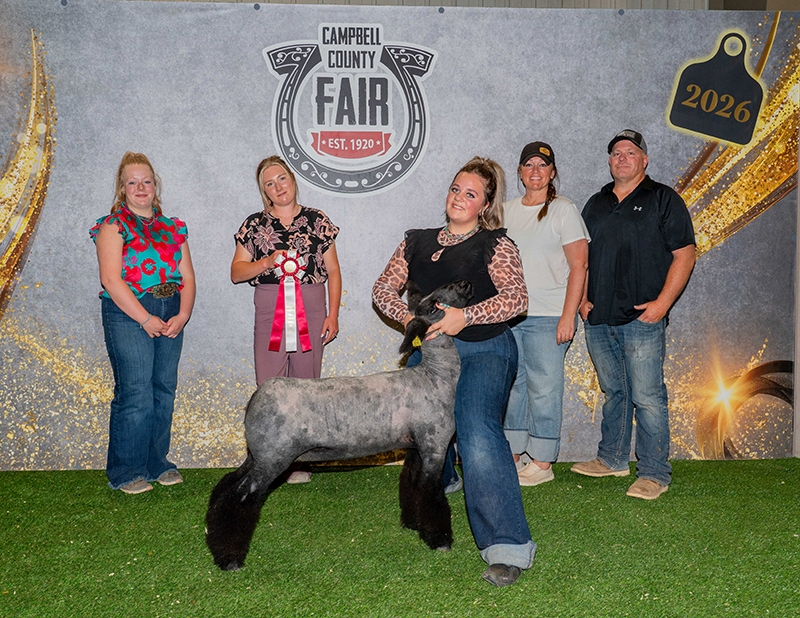 Reserve Champion Ewe, Campbell County Fair Reserve Champion Ewe, Campbell County Fair