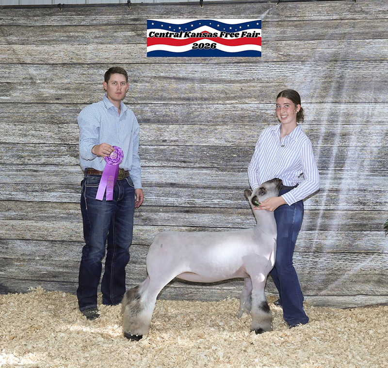Grand Champion Breeding Ewe, Central Kansas Free Fair Grand Champion Breeding Ewe, Central Kansas Free Fair