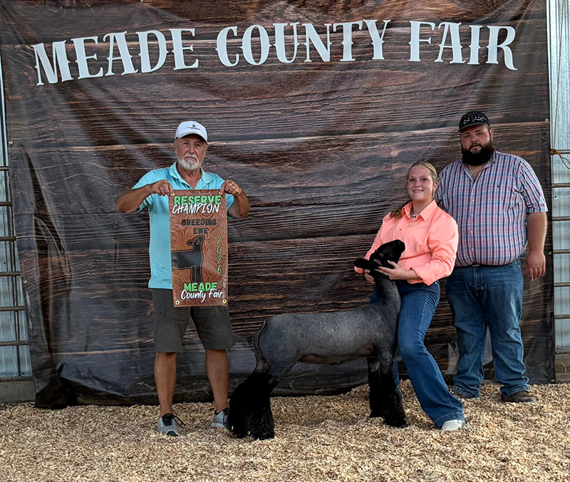 Reserve Champion Breeding Ewe, Meade County Fair Reserve Champion Breeding Ewe, Meade County Fair