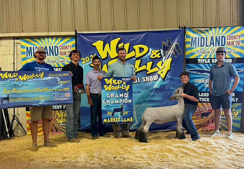 Grand Champion Market Lamb, Wild and Wooly Grand Champion Market Lamb, Wild and Wooly