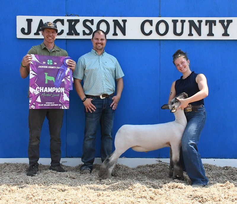 Grand Champion Market Lamb, Jackson County Fair Grand Champion Market Lamb, Jackson County Fair