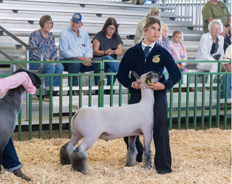 3rd Overall Market Lamb, Tillamook County Fair 3rd Overall Market Lamb, Tillamook County Fair