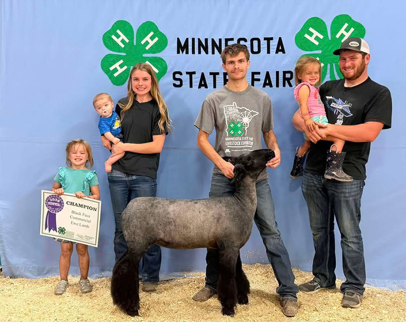 Champion BFX Commercial Ewe Lamb, Minnesota State Fair 4-H Show Champion BFX Commercial Ewe Lamb, Minnesota State Fair 4-H Show