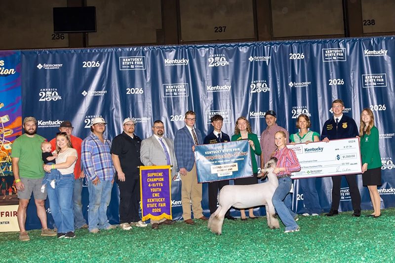 Grand Champion Ewe, Kentucky State Fair Grand Champion Ewe, Kentucky State Fair