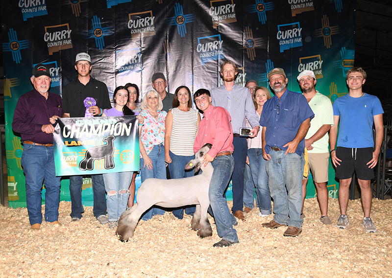 Grand Champion Lamb, Curry County Fair Grand Champion Lamb, Curry County Fair