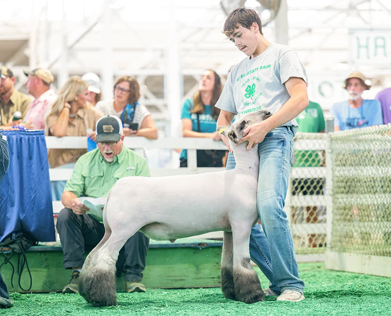 Reserve Champion Division V, Iowa State Fair 4-H Show Reserve Champion Division V, Iowa State Fair 4-H Show