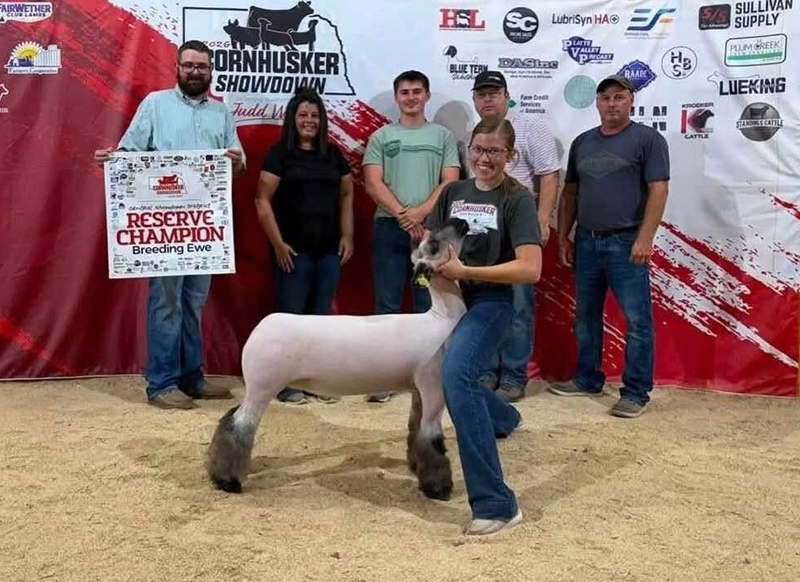 Reserve Champion Breeding Ewe, Cornhusker Showdown – Central District Reserve Champion Breeding Ewe, Cornhusker Showdown – Central District