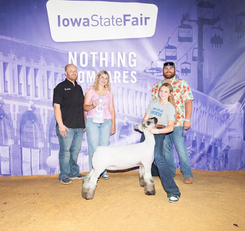 Reserve Division 1 BFX Ewe, Iowa State Fair - FFA Show Reserve Division 1 BFX Ewe, Iowa State Fair - FFA Show