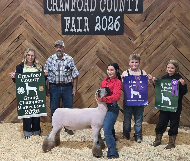 Champion Market Lamb – Open & Jr, Crawford County (PA) Fair Champion Market Lamb – Open & Jr, Crawford County (PA) Fair