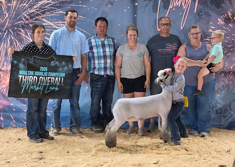 3rd Overall Market Lamb, Mo-Do Jackpot 3rd Overall Market Lamb, Mo-Do Jackpot