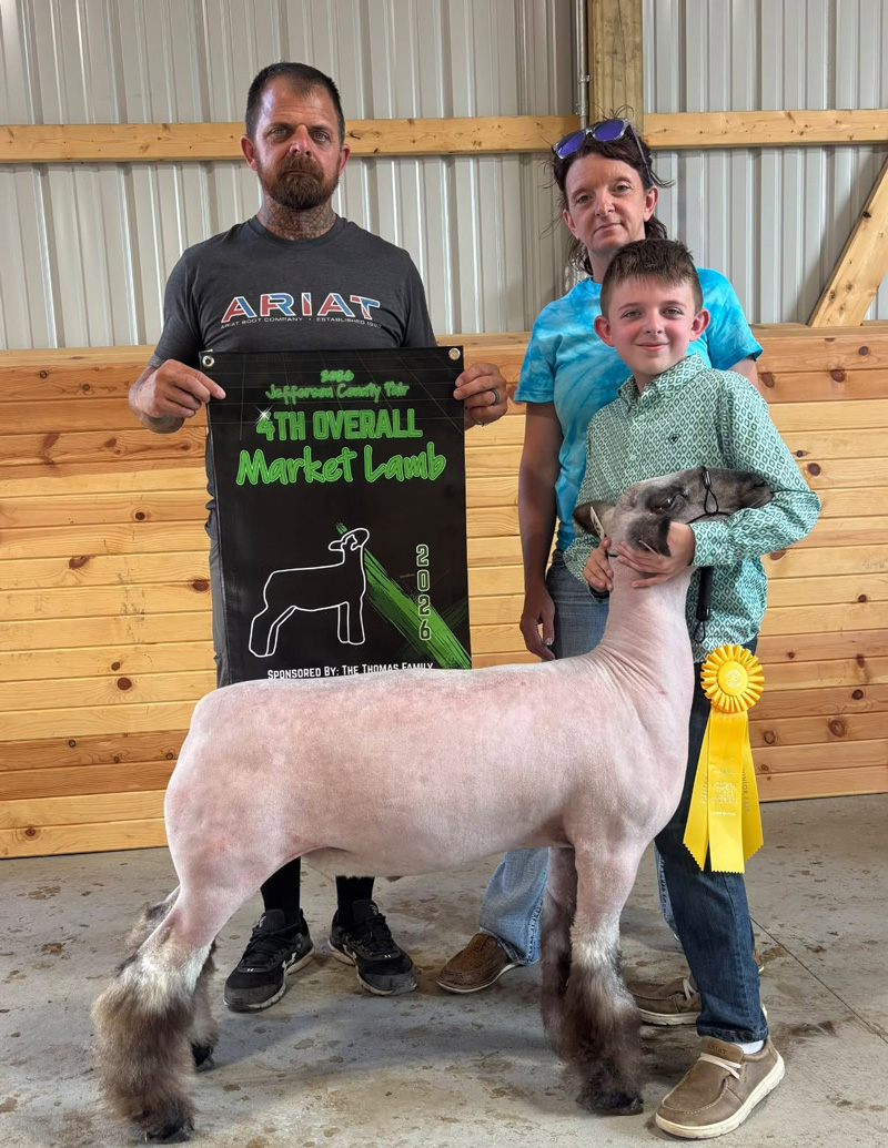 4th Overall Market Lamb, Jefferson County OH Fair 4th Overall Market Lamb, Jefferson County OH Fair