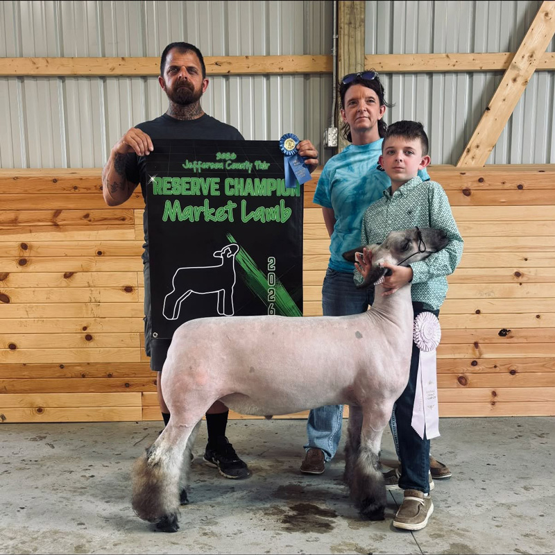 Reserve Champion Market Lamb, Jefferson County OH Fair Reserve Champion Market Lamb, Jefferson County OH Fair