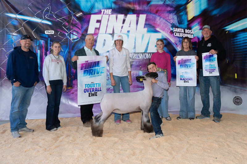 4th Overall Ewe, 3rd Overall Blackface, Final Drive Jackpot 4th Overall Ewe, 3rd Overall Blackface, Final Drive Jackpot