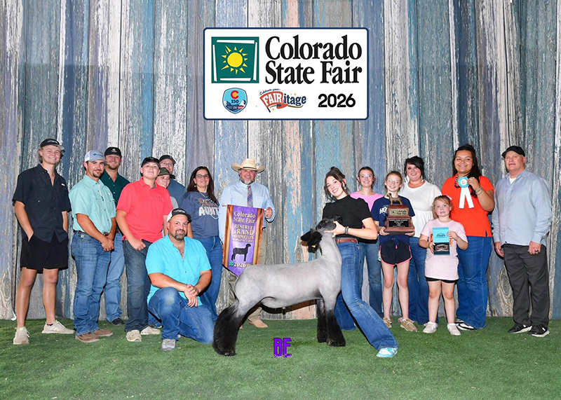 Reserve Champion Market Lamb, Colorado State Fair Reserve Champion Market Lamb, Colorado State Fair