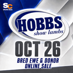 Oct. 26 Bred Ewe Sale